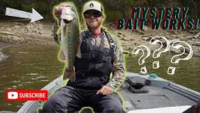 Bass fishing Norris lake end of September.