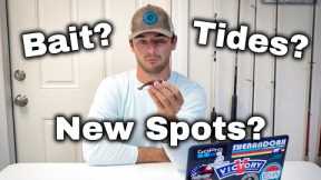 Beginner's Guide to Saltwater Fishing: Common Questions Q&A