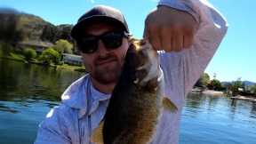 Skaha Lake Fishing - Bass and Rainbow Trout