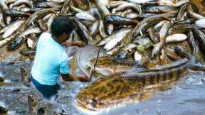 Catch Fish And Cooking Fish Tasty Recipe | Traditional styles Cook.