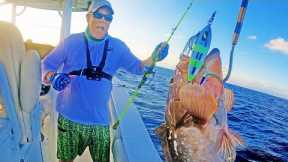 Vertical Jigging in KEY LARGO | Fishing | Grouper catch and cook