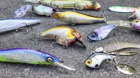 Where Do Bass Go In Fall? (And Easy Ways To Catch Them)
