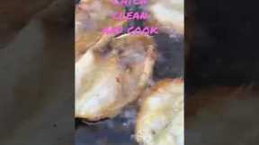 Catch, Clean and Cook Fish #shorts