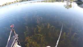 Bass Fishing a SUPER CLEAR Lake