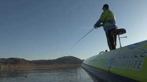 Fishing with Johnny Johnson - May Spinnerbaits - Alamo Lake, AZ