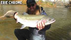 Float Fishing MUDDY Lake Erie Tributaries for STEELHEAD