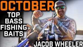 Top 5 Baits for October 2022 Fall Bass Fishing Topwater Month
