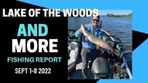 Lake of the Woods and MORE Fishing Report Sept 1-8 2022