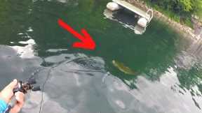 You Can ALWAYS Catch a Bass HERE!! (Year Round)