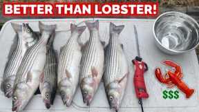 The FISH That Tastes BETTER THAN LOBSTER!!! -- CATCH & COOK it THIS WAY! (AMAZING)