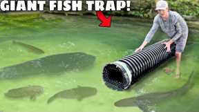 TRAPPING GIANT PIRANHAS in My POND!