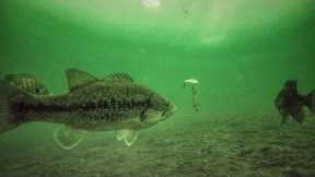 How to Ice Fish Bass With Crankbaits