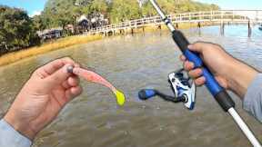 Eating Whatever I Catch.. (Catch and Cook) Saltwater River Fishing