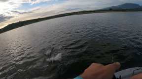 These Flats are FULL OF FISH, Bass Fishing South Africa.