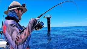 Catching Dinner from 'the Poles' (catch, clean, cook)