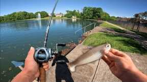 Fishing For GIANT BASS With HUGE SWIMBAITS! (Urban Pond Hopping)