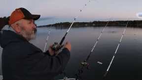 THE STRIPER BITE IS ON FIRE 🔥 AT LAKE MURRAY!
