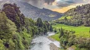 Wild Rainbow Trout in a Stunning River