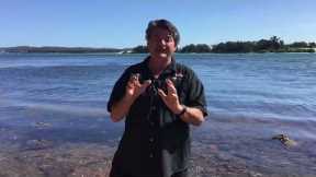 Swansea Fishing Report 10/11/2022