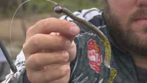 Summer Worm Fishing Tips for Bass Fishing | Bass Fishing