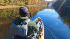 Strange Sightings and Big Bass