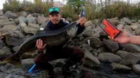 Lake Michigan Tributary Salmon Fishing