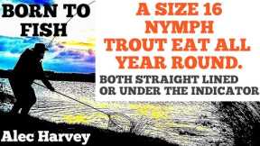 FLY TYING -  THE ALL YEAR ROUND NYMPH