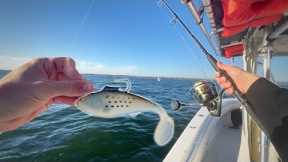Nonstop Fall Run Striped Bass Fishing in the Raritan Bay! (we lost count)