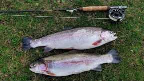138. An Old Fishing Tip Helped Catch These Trout - Fly Fishing Snakes