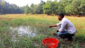 Fishing Video🐠 || Amazing fishing scene of village boy in forest pond || Fish catching trap