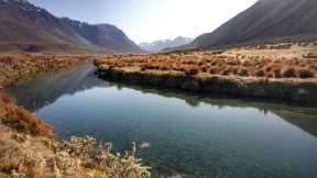 Fly Fishing Stunning Ultra Clear Water Mountain Stream!
