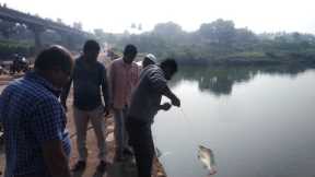 Tilapia Fishing Technique🎣| Fishing 2022 Tilapia Fish | AmazingTilapia Fish Catching🐟Unique