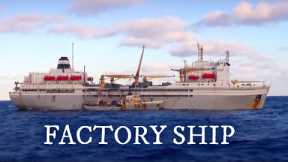 Largest Fish Factory Vessel. Episode 1 | Documentary | Science Channel