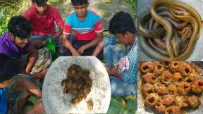 Eel Fish Catching and Cooking || Smart Boys Hunting Eel Fish and Cooking and Eating
