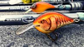 TRULY The Best Way To Catch LATE FALL BASS
