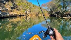 Bass Love This Lure in the Fall