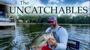 Usually this works...... (Lake Conroe Kayak Fishing)