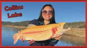 Struck by LIGHTNING TROUT at Collins Lake #Fishing #LightningTrout #GirlsFishing