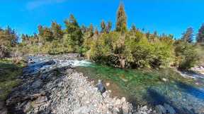 Fly Fishing the Most Stunning River I Know