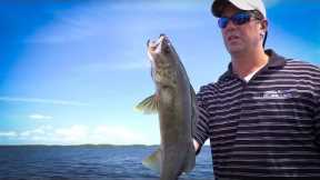Mayfly Hatch Tactics Rainy Lake - In-Depth Outdoors - Season 6, Episode 12