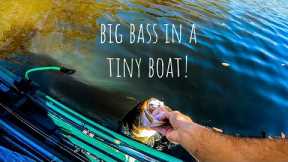 Catching GIANT BASS While FISHING Out of a TINY BASS BOAT!!! || Fall Bass Fishing