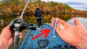 You should do this RIGHT NOW!! Fall Bass Fishing