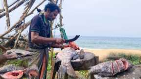 You Never Seen !!! World Giant Fish Cutting Live In Fish Market | Fish Cutting Skills Live Video
