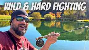 THE MOST UNIQUE Fly Fishing Experience in the PNW - Newly Opened to Fishing Enthusiasts!