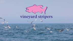Striped Bass and Bluefish Fly Fishing in Martha's Vineyard