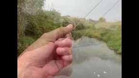 Every Fly Fisherman's WORST NIGHTMARE