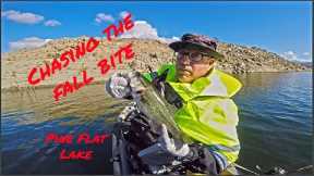 Kayak Bass Fishing Pine Flat Lake in Feelfree Dorado125