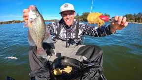 Cooking FRESH fish ON my Kayak! Catch clean cook