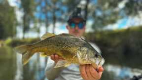 Hunter Valley BASS Fishing | Finding New Ground in Untouched Waters