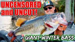 90 Minutes UNCUT Catching Suspended Winter Bass on Livescope!